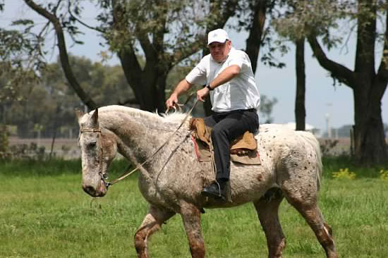 And the horse shows Bruno who's boss