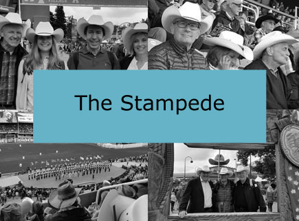 The-Stampede