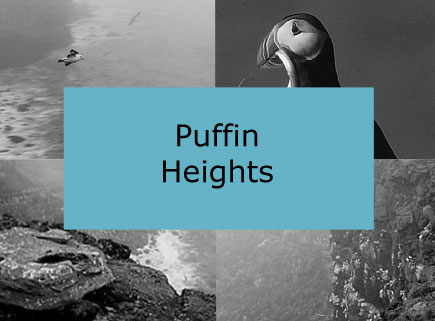 puffin_heights_montage